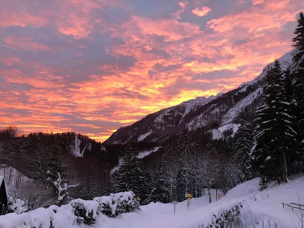 Thomas Immobilien- idyllisches Chalet im Ötscher Skigebiet